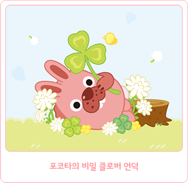 포코타 비밀 클로버 언덕